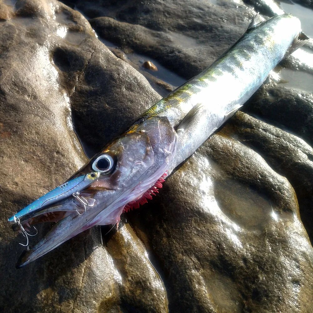 GOBAIT VIB Richiamo di Pesca 2 - Fishing Hook Treble recensione e prezzo