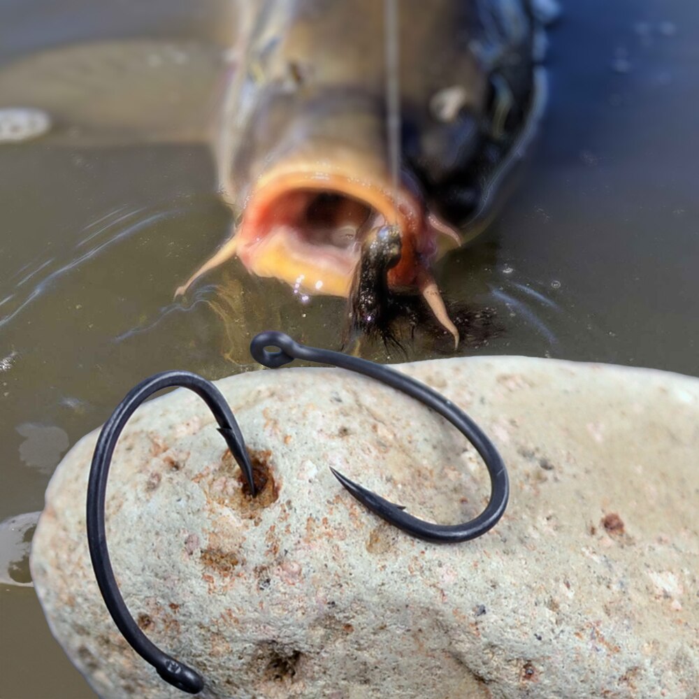 Hirisi ami da pesca alla carpa - Fishing Hook Circle recensione e prezzo