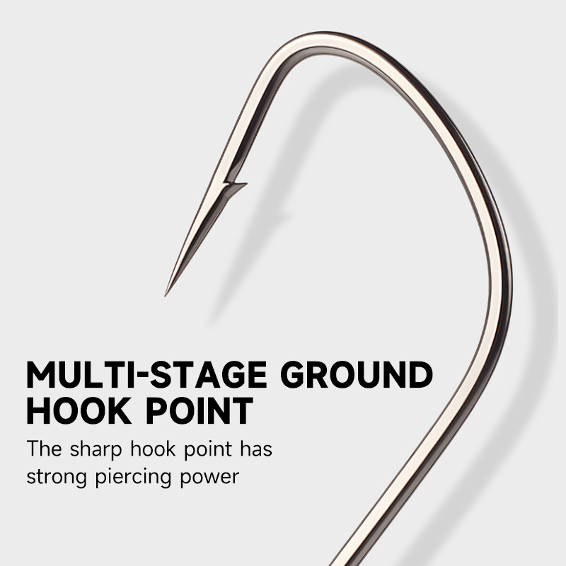 Supercontinente 2 # -12 #   10 - Fishing Hook Assortment recensione e prezzo